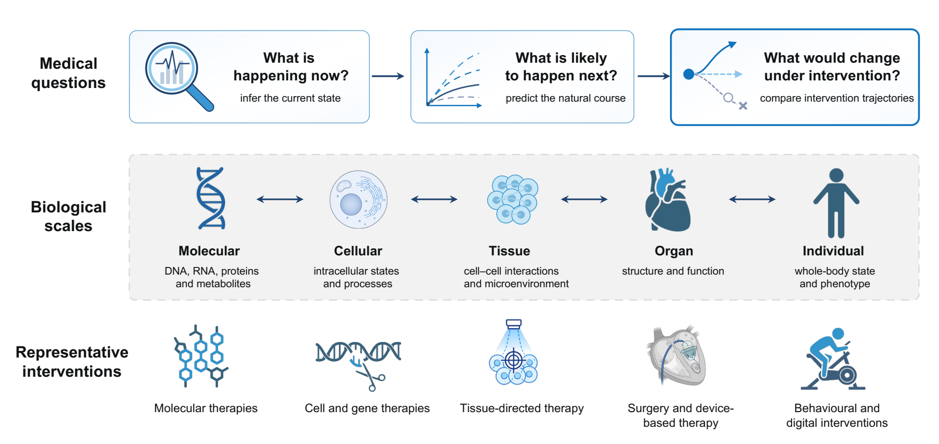 Three medical questions — what is happening now, what is likely to happen next, and what would change under intervention — asked across molecular, cellular, tissue, organ and individual scales, each with representative interventions
