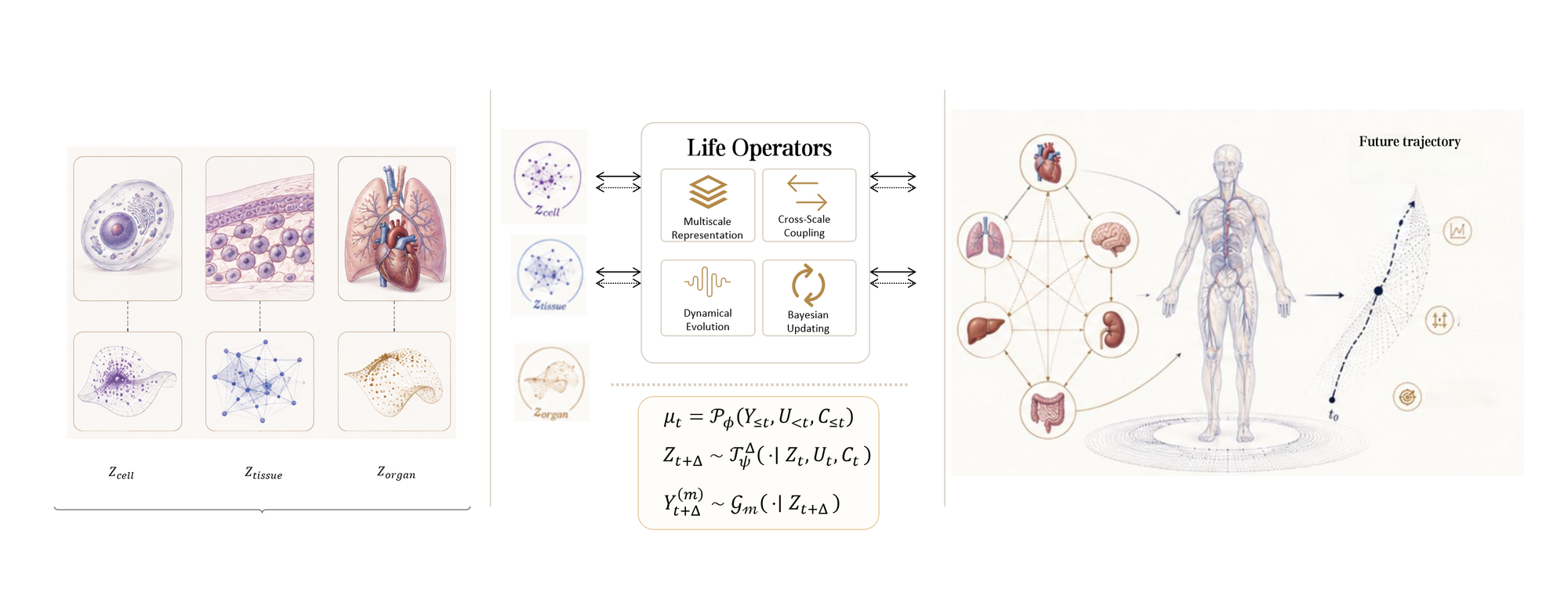 The Life Operator system: cell, tissue and organ latent states coupled through multiscale representation, cross-scale coupling, dynamical evolution and Bayesian updating, driving whole-body simulation of future trajectories